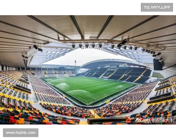 意甲球场建设受限的多重因素解析与挑战探讨