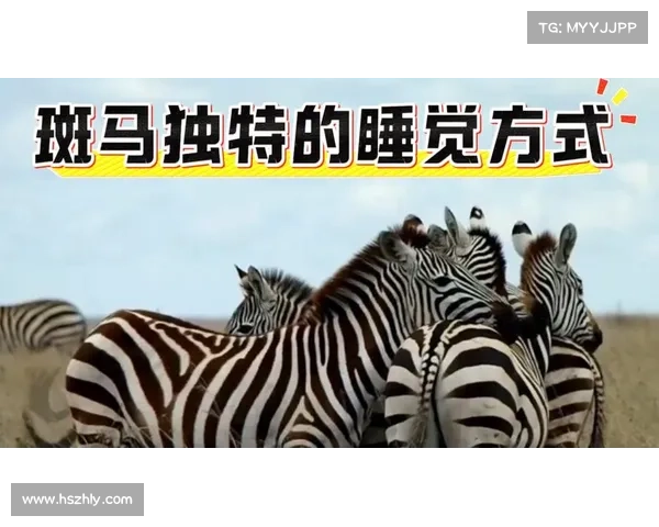 如何通过独特的方式记住捷克门将的名字与职业生涯的精彩瞬间