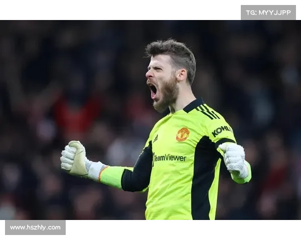 德赫亚在国王杯中展现稳定表现赢得广泛赞誉助力球队晋级