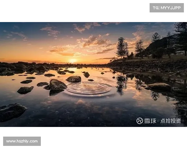 投资欧洲杯的五大盈利策略全面解析实现高效收益的方法